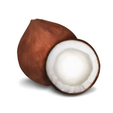 Coconut Stock Illustration