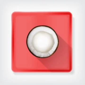 Coconut Stock Illustration