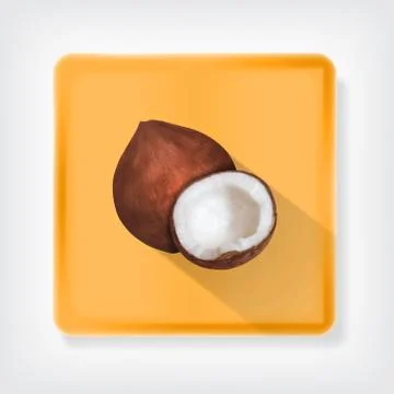 Coconut Illustrazione stock