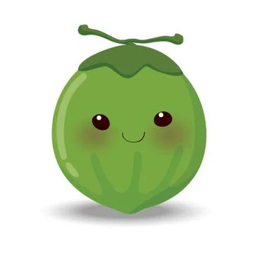 Coconut Illustrazione stock