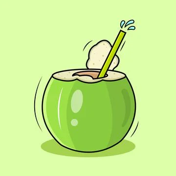 Coconut Stock Illustration