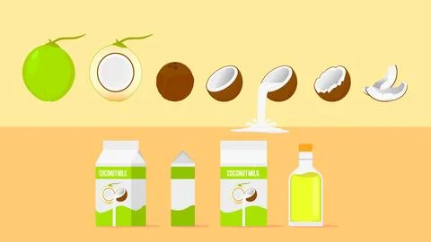 Coconut Stock Illustration
