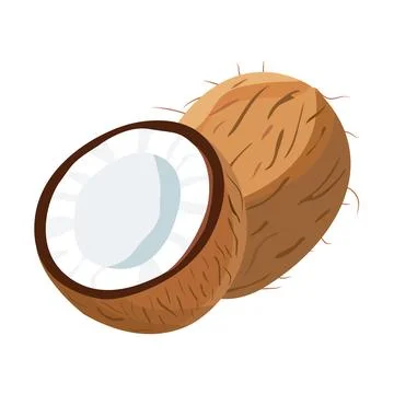 Coconut Stock Illustration
