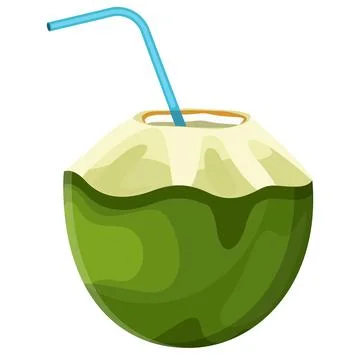 Coconut Stock Illustration