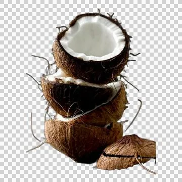Coconut Stock Illustration