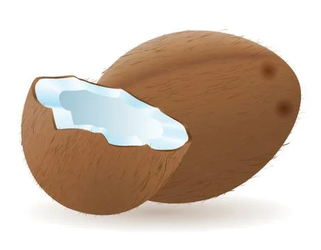 Coconut illustration Stock Illustration