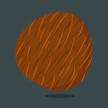 Coconut isolated on background vector illustration. Stock Illustration