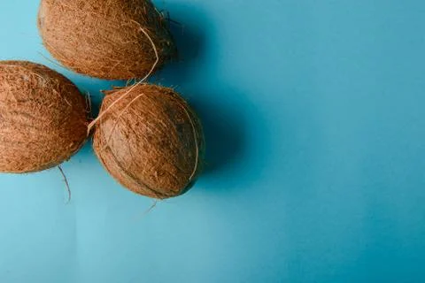 Coconut isolated on blue Background 스톡 사진