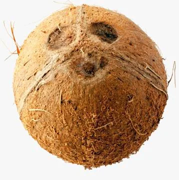Coconut isolated over white Stock Photos