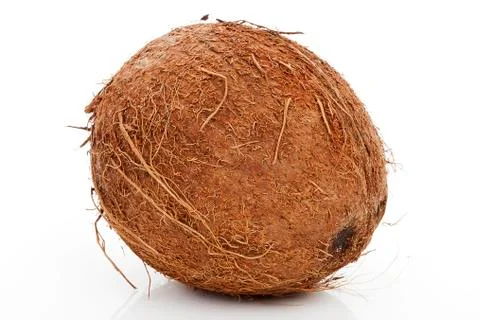 Coconut isolated. Stock Photos