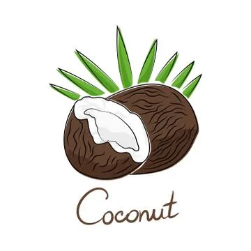 Coconut isolated on white background Stock-Illustration