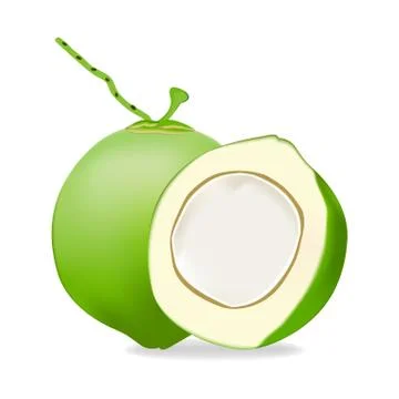 Coconut isolated on white background as package design composition. Stock Illustration