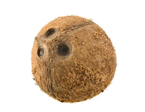 Coconut isolated on white background Foto stock
