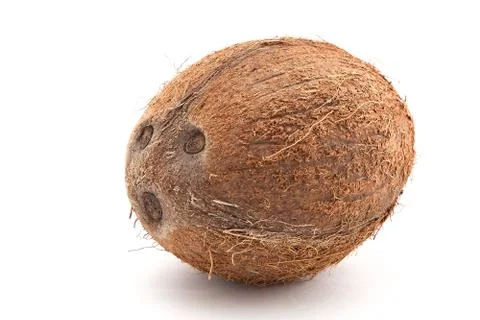 Coconut isolated on white background Foto stock