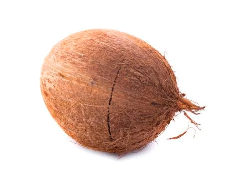 Coconut isolated on white background Stock Photos