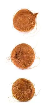 Coconut isolated on white Background. Stock Photos