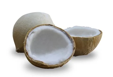 Coconut isolated on white background Stock Photos