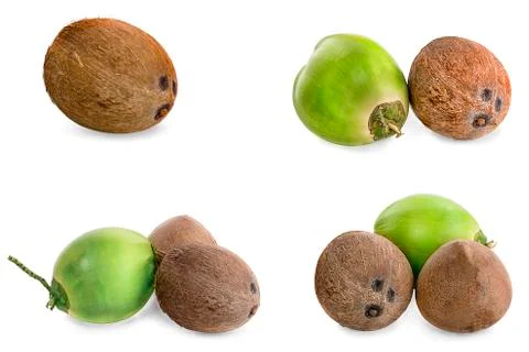 Coconut isolated on white background Stock Photos