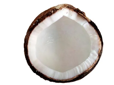 Coconut isolated on white background 스톡 사진