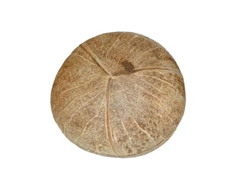 Coconut isolated on white background Фото