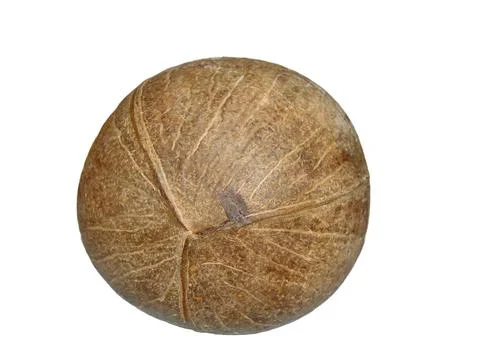 Coconut isolated on white background Фото