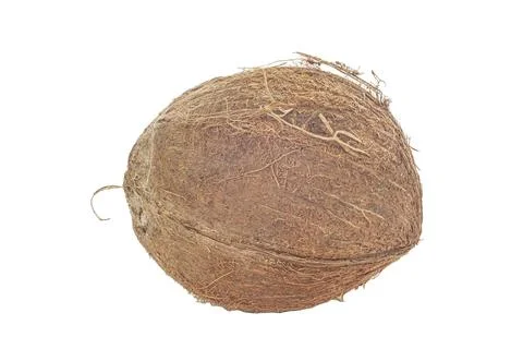 Coconut Isolated on white background Stock Photos