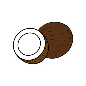 Coconut isolated on white background. vector illustration of colorful half an Ilustración de archivo