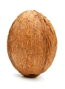 Coconut isolated on white Stock Photos