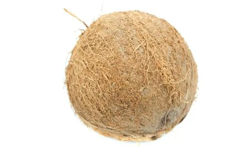 Coconut isolated on white Foto stock