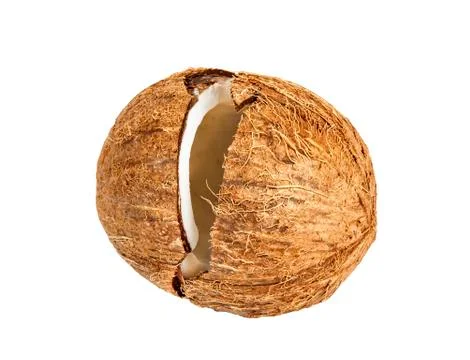 Coconut isolated on a white Stock Photos