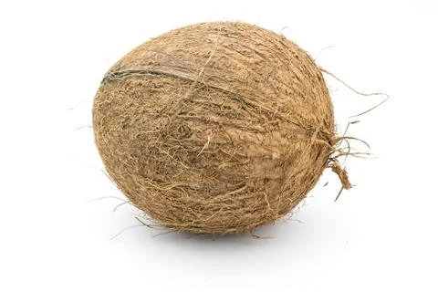 Coconut isolated on white Stock Photos