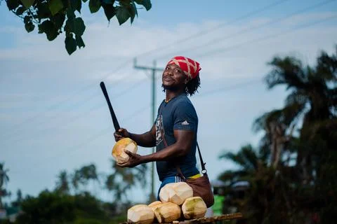 COCONUT JOINT Stock Photos