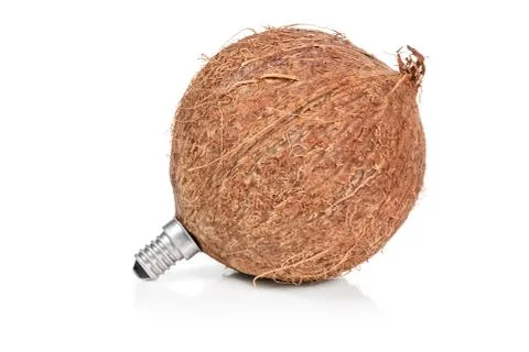 Coconut with lamp socket Stock Photos