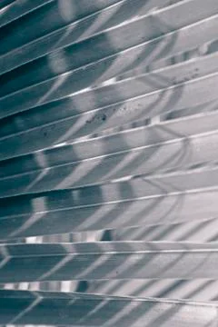 Coconut leaf backside light in the morning Stock Photos