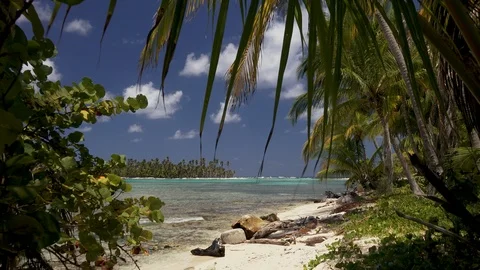 Coconut leaf, lagoon and far away island in remote San Blas Archipelago3 Stock Footage 104513397