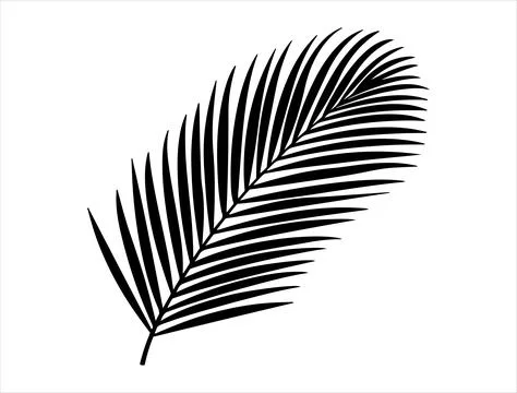 Coconut leaf silhouette vector art Stock Illustration