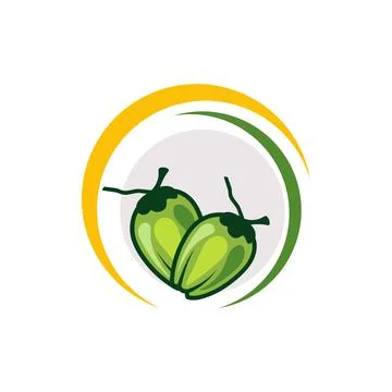 Coconut logo Vector icon design illustration Stockillustratie