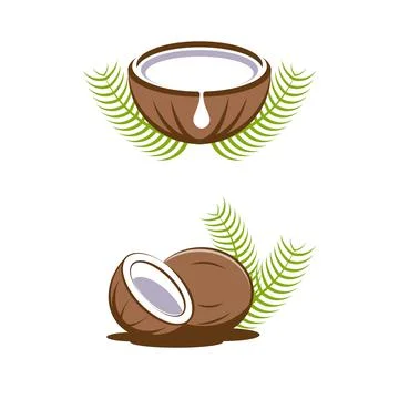 Coconut logo Vector icon design illustration Stock Illustration