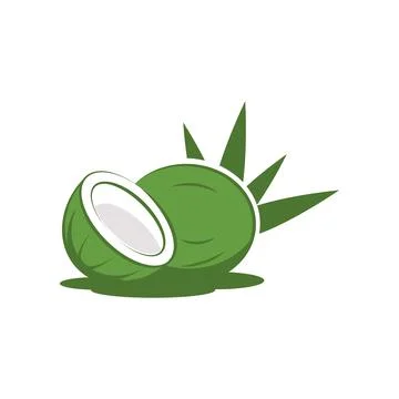 Coconut logo Vector icon design illustration イラスト素材