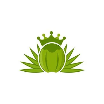 Coconut logo Vector icon design illustration イラスト素材
