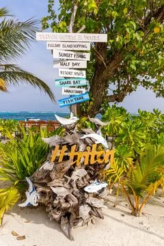 Coconut logs form a whimsical base beneath a signpost 库存照片