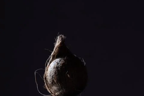 A coconut in low light Stock Photos