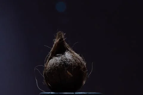 A coconut in low light Stock Photos