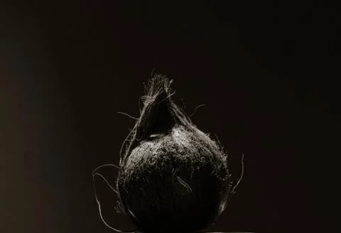 A coconut in low light Stock Photos