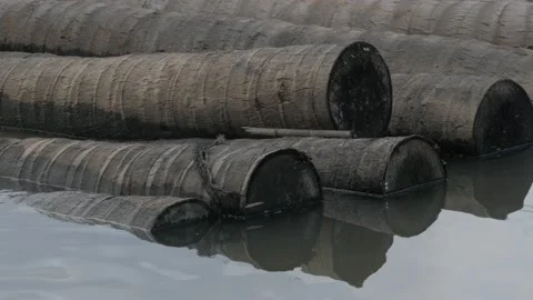 Coconut lumber log trunks pile of the logging wood industry Stock Footage 133445379