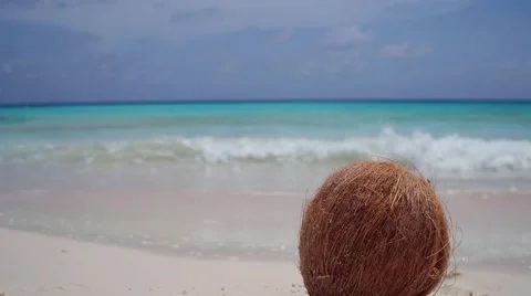 Coconut lying on white sandy beach on tropical island Klein Curacao Stock-Footage 67381535