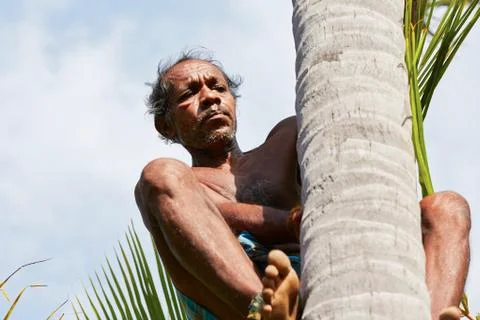 Coconut man Stock-Fotos