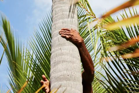 Coconut man Foto stock