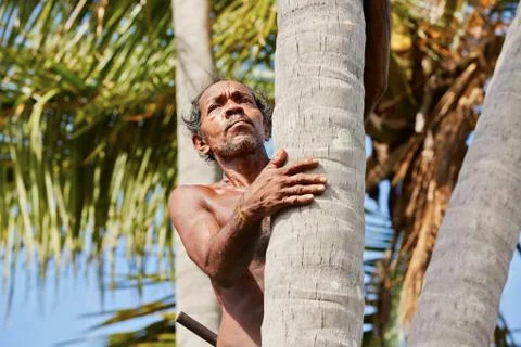 Coconut man 写真素材