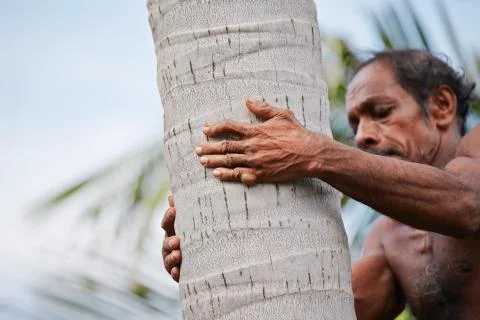 Coconut man Foto stock